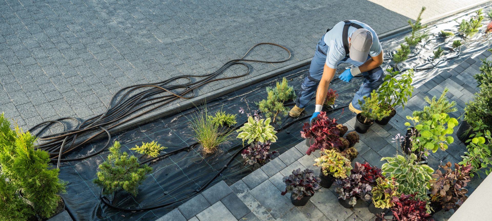 Landscaping