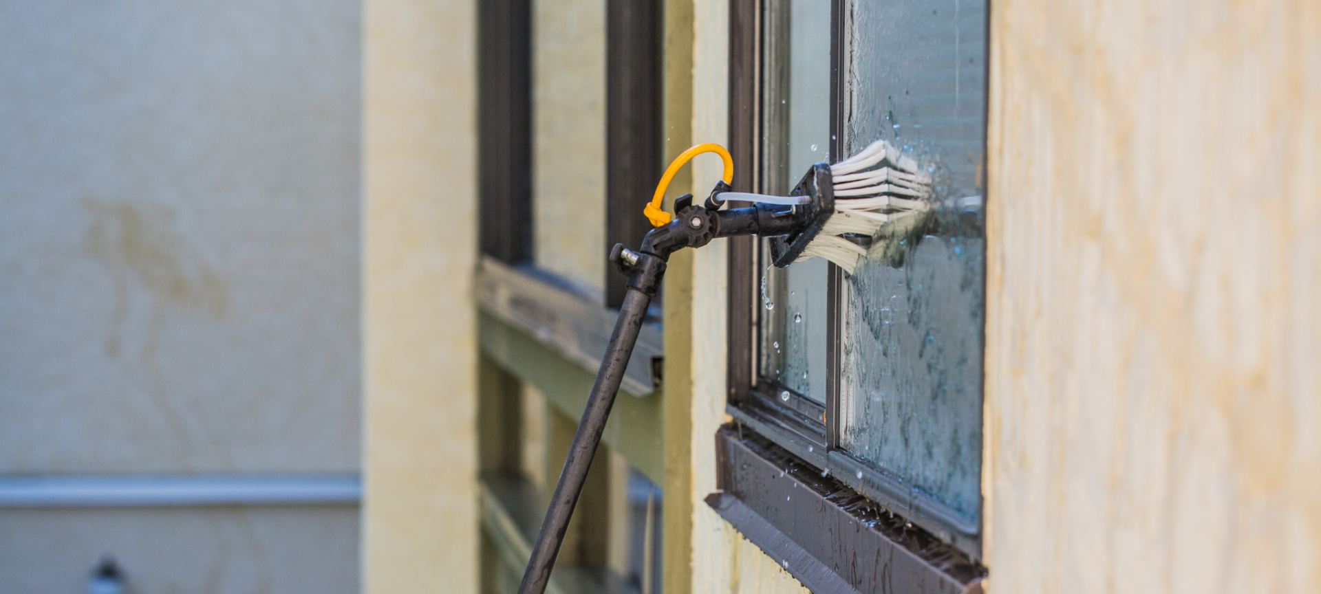 window cleaning